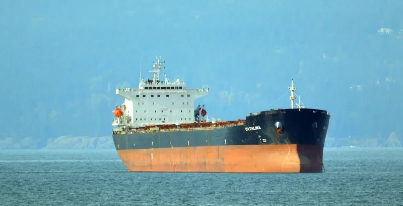 CATALINA Bulk Carrier IMO 9299604 photo 10