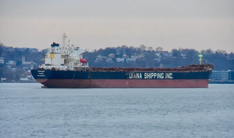 NS XIAMEN Bulk Carrier IMO 9299616