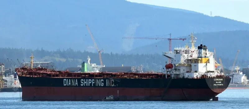 NS XIAMEN Bulk Carrier IMO 9299616 photo 2