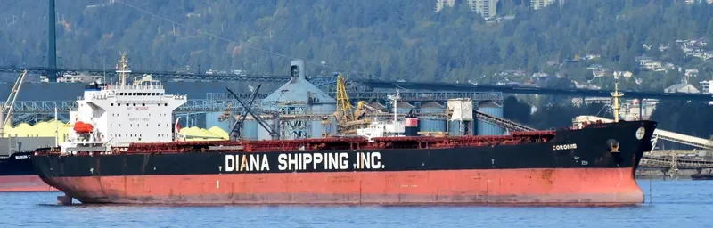 NS XIAMEN Bulk Carrier IMO 9299616 photo 4