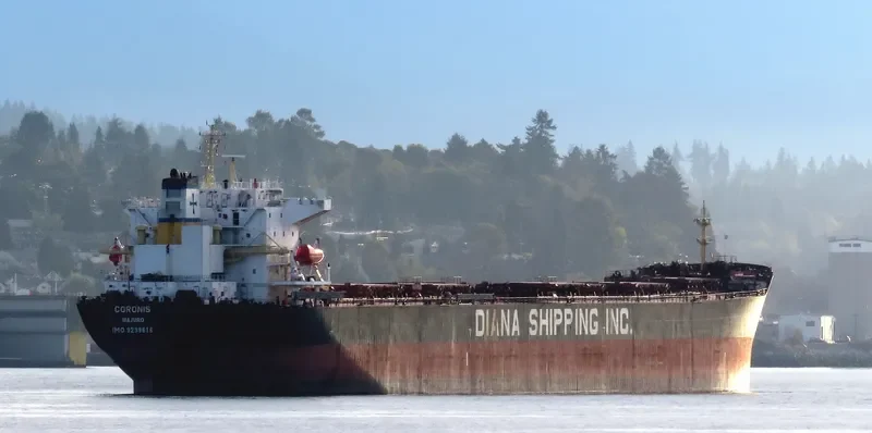 NS XIAMEN Bulk Carrier IMO 9299616 photo 8