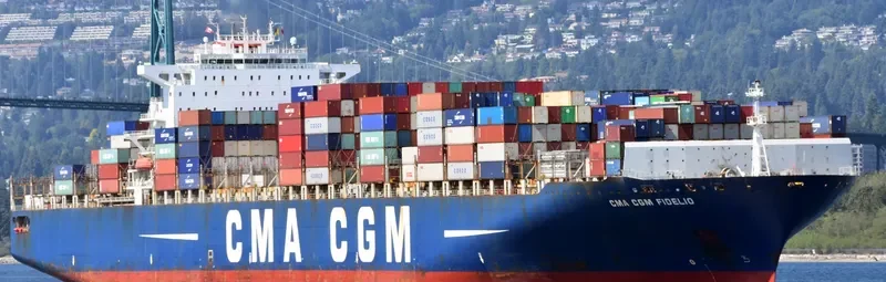 CMA CGM FIDELIO Container Ship IMO 9299642 photo 2