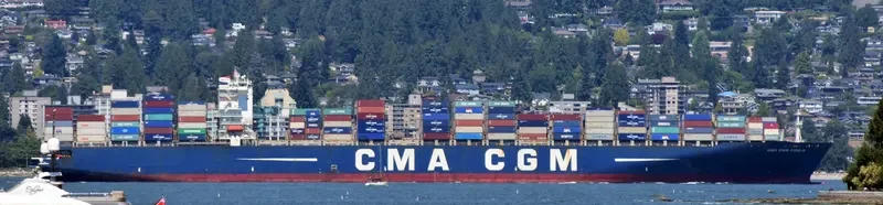 CMA CGM FIDELIO Container Ship IMO 9299642 photo 6