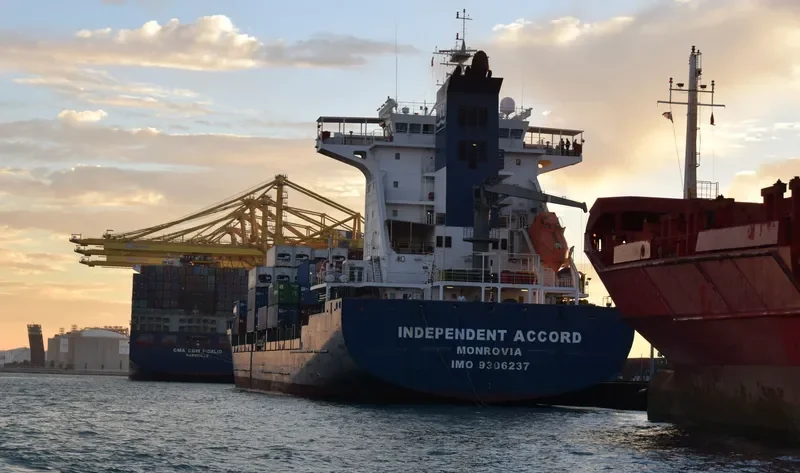 CMA CGM FIDELIO Container Ship IMO 9299642 photo 10