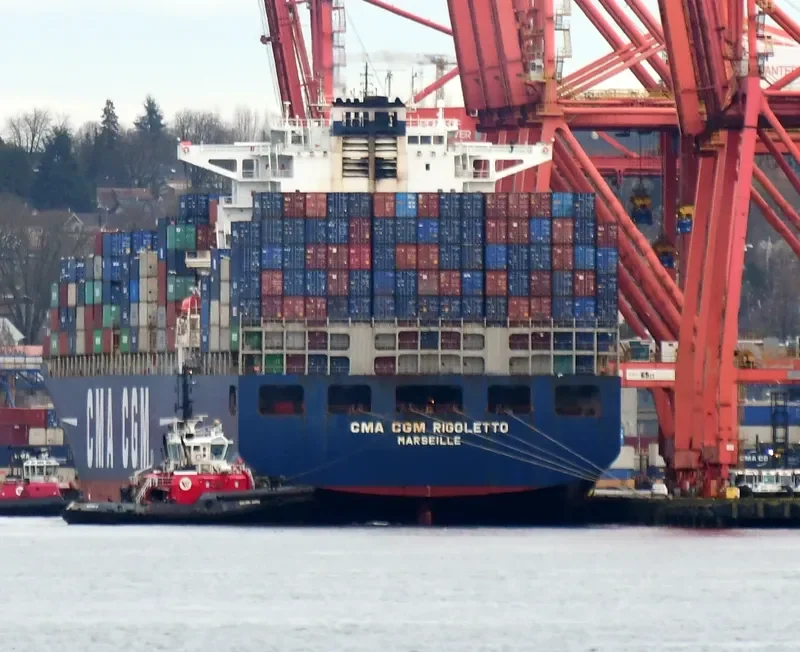CMA CGM RIGOLETTO Container Ship IMO 9299654