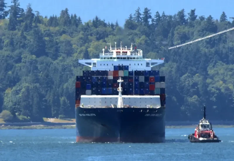 CMA CGM RIGOLETTO Container Ship IMO 9299654 photo 9