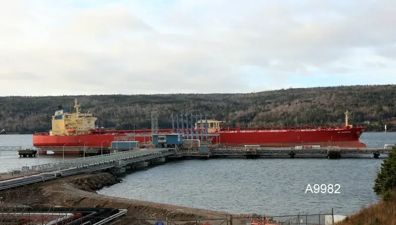 NS CHAMPION Tanker IMO 9299719 photo 3
