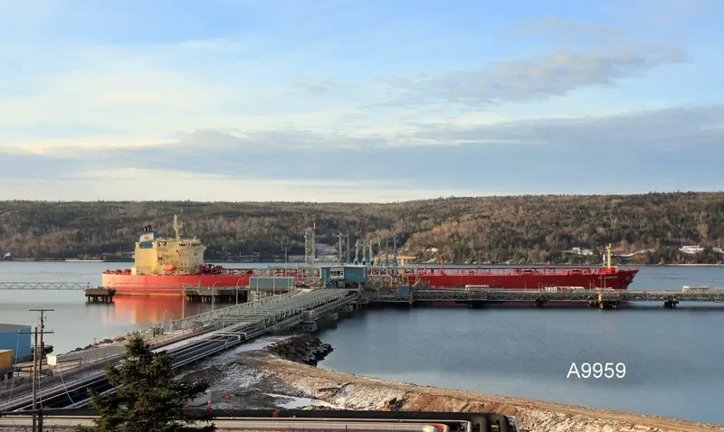 NS CHAMPION Tanker IMO 9299719 photo 4