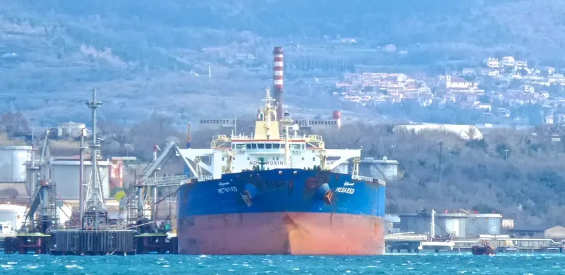 ARGEUS Tanker IMO 9299745 photo 10