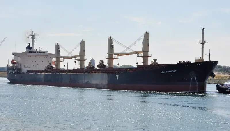 SEA CHAMPION Bulk Carrier IMO 9299915 photo 2