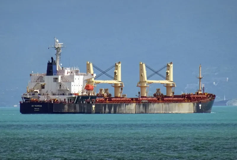 SEA CHAMPION Bulk Carrier IMO 9299915 photo 3