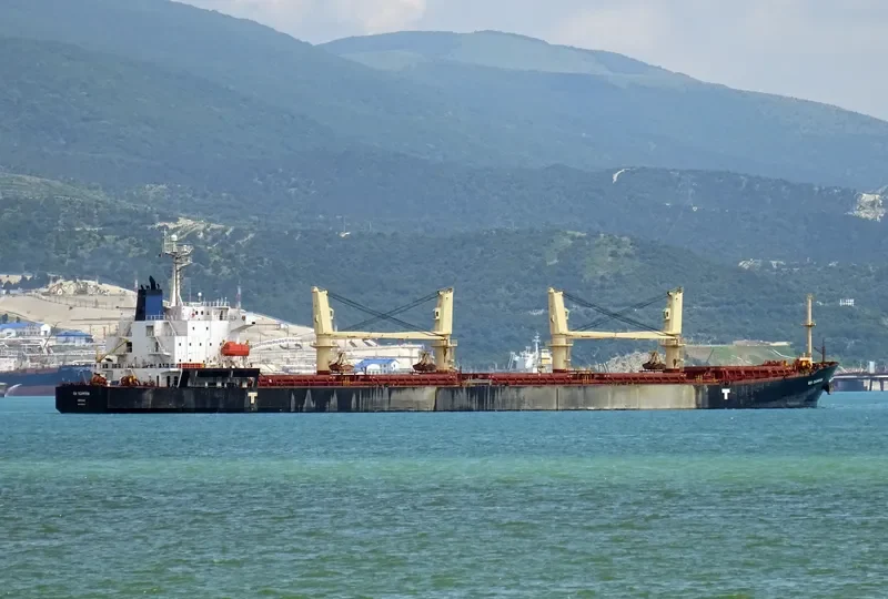 SEA CHAMPION Bulk Carrier IMO 9299915 photo 4