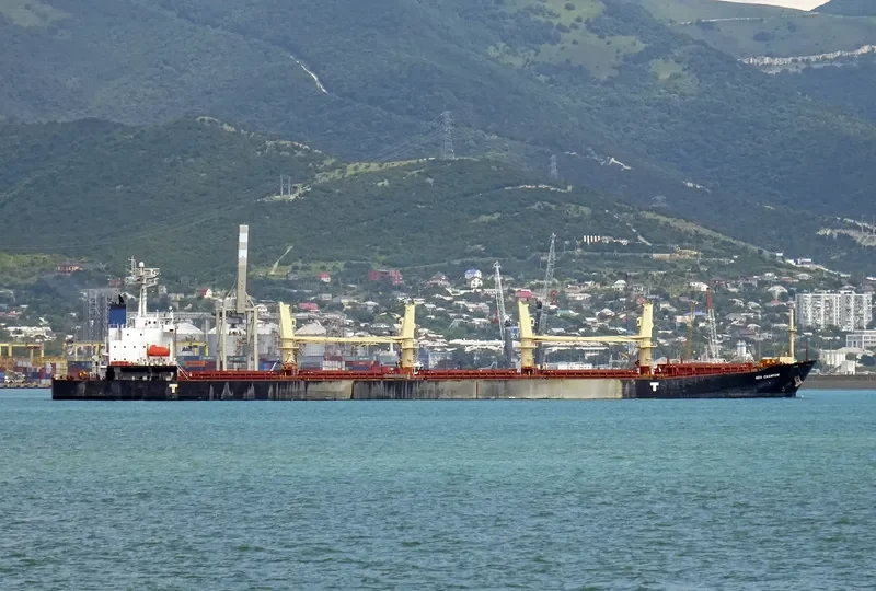 SEA CHAMPION Bulk Carrier IMO 9299915 photo 5