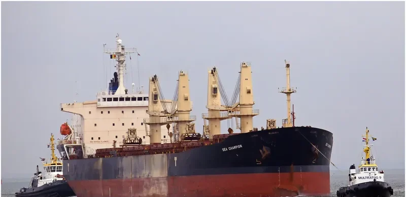 SEA CHAMPION Bulk Carrier IMO 9299915 photo 6
