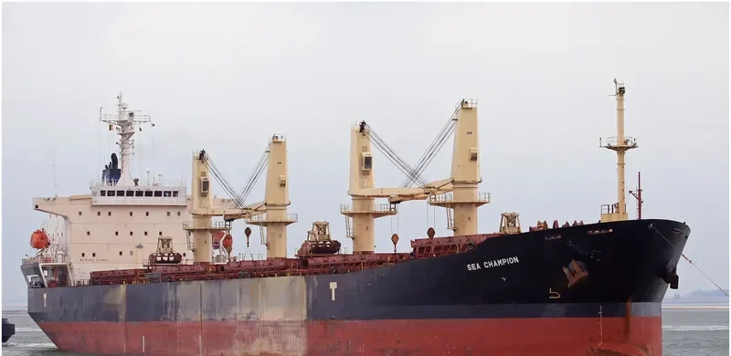 SEA CHAMPION Bulk Carrier IMO 9299915 photo 7