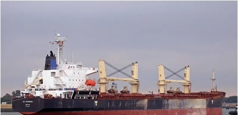 SEA CHAMPION Bulk Carrier IMO 9299915 photo 8