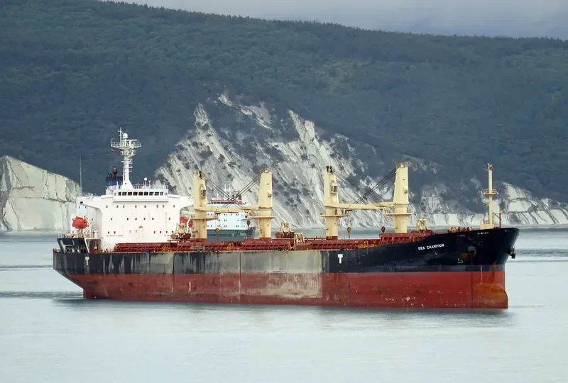 SEA CHAMPION Bulk Carrier IMO 9299915 photo 9