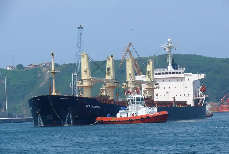 SEA CHAMPION Bulk Carrier IMO 9299915 photo 10