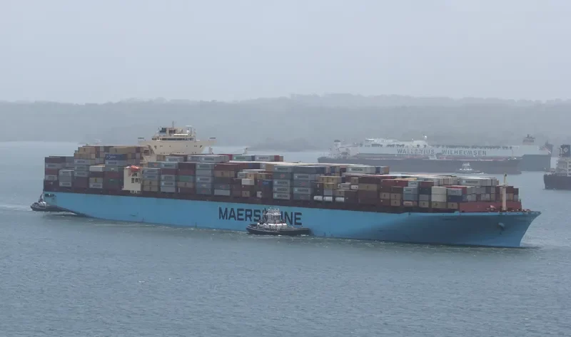 MAERSK SHEERNESS Container Ship IMO 9299939 photo 2