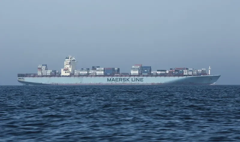 MAERSK SHEERNESS Container Ship IMO 9299939 photo 7
