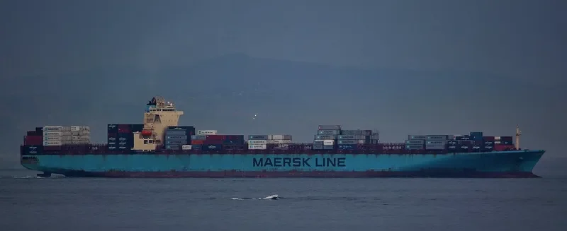 MAERSK SHEERNESS Container Ship IMO 9299939 photo 8