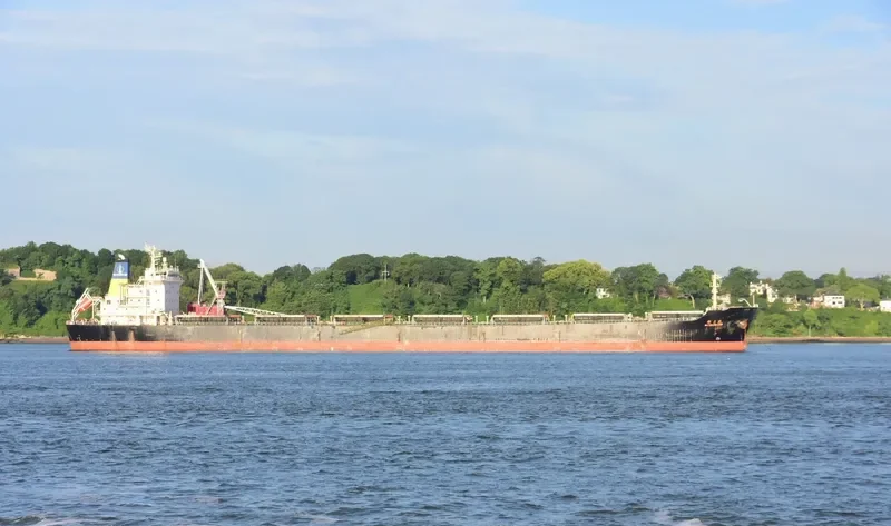 HAI HUANG XING Bulk Carrier IMO 9300128 photo 4