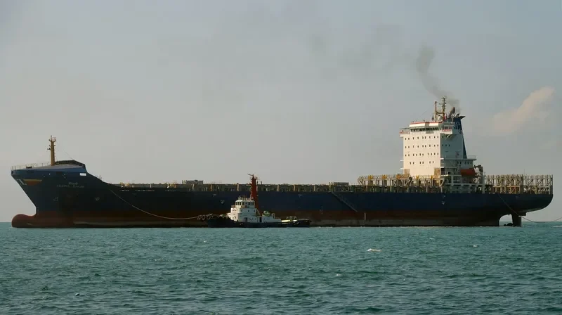 TEERA BHUM Container Ship IMO 9300130 photo 8