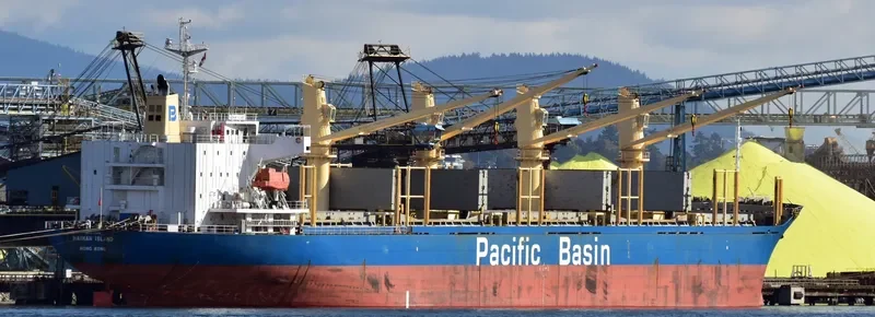 HAINAN ISLAND Bulk Carrier IMO 9300178 photo 2