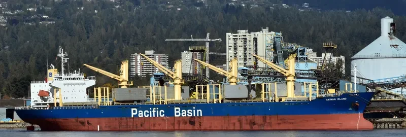 HAINAN ISLAND Bulk Carrier IMO 9300178 photo 3