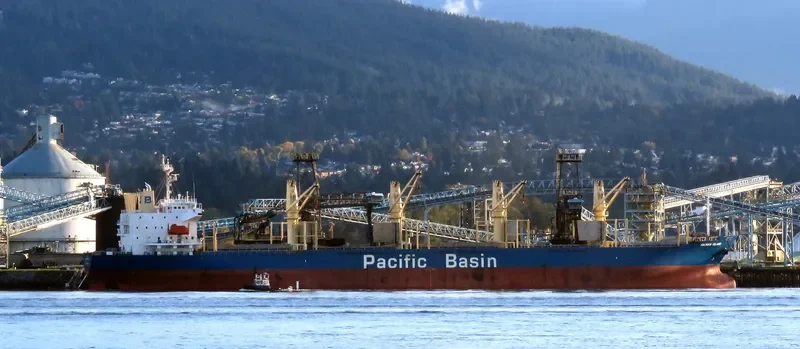 HAINAN ISLAND Bulk Carrier IMO 9300178 photo 4