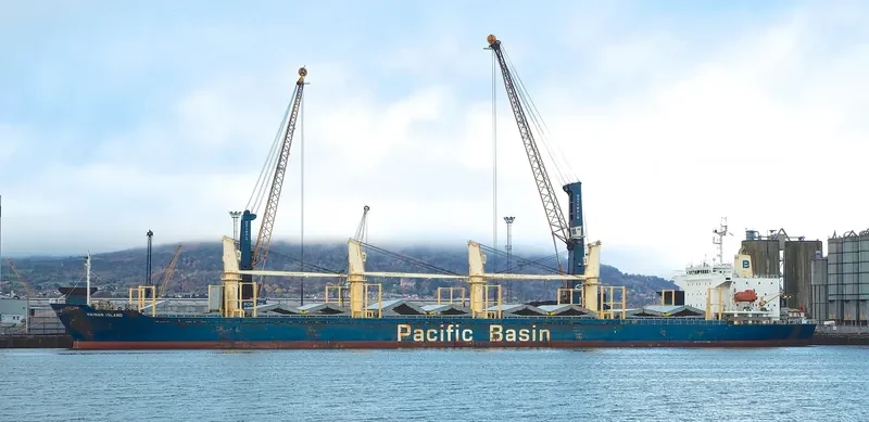 HAINAN ISLAND Bulk Carrier IMO 9300178 photo 8