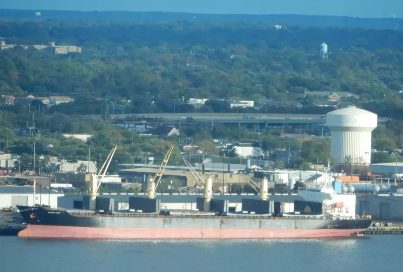 SARONIC SPIRE Bulk Carrier IMO 9300192