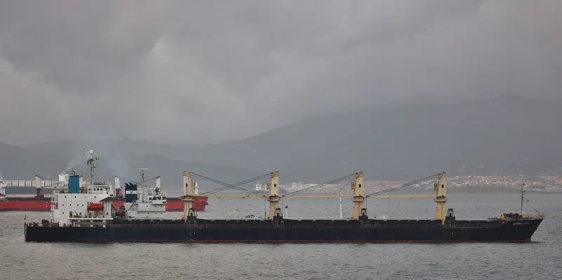 SARONIC SPIRE Bulk Carrier IMO 9300192 photo 4