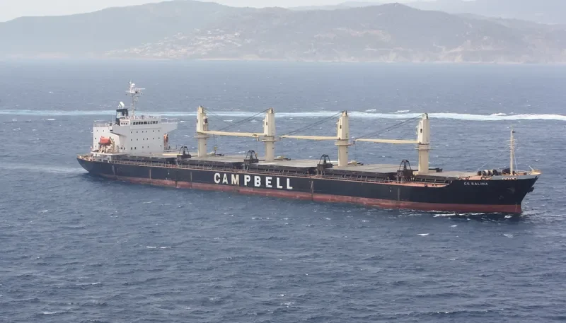 SARONIC SPIRE Bulk Carrier IMO 9300192 photo 6