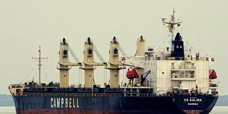 SARONIC SPIRE Bulk Carrier IMO 9300192 photo 7