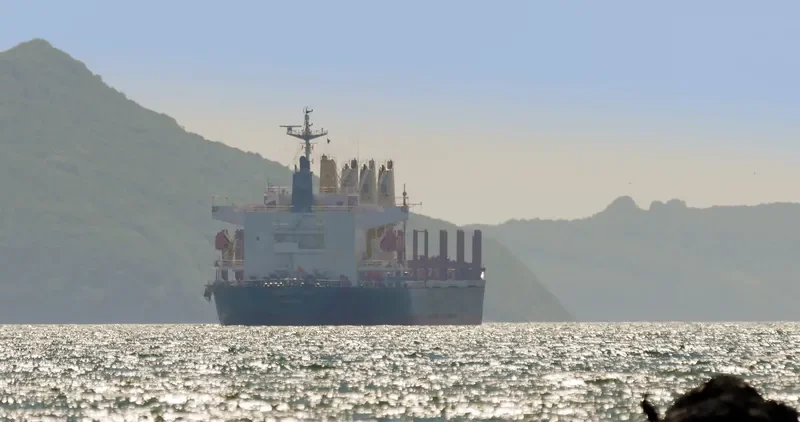 BLUE CECIL Bulk Carrier IMO 9300207 photo 2