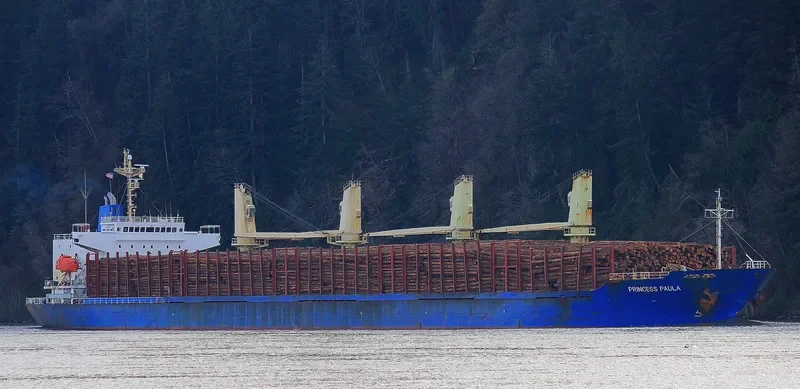 BLUE CECIL Bulk Carrier IMO 9300207 photo 6
