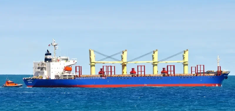 BLUE CECIL Bulk Carrier IMO 9300207 photo 9