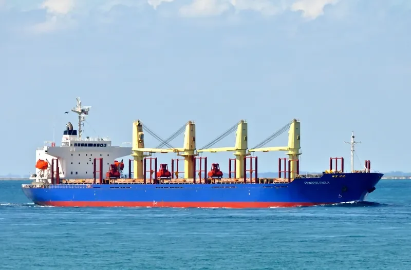 BLUE CECIL Bulk Carrier IMO 9300207 photo 10