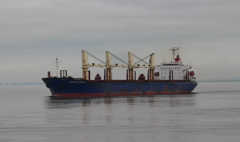 BLUE ALEXANDRA Bulk Carrier IMO 9300219 photo 2