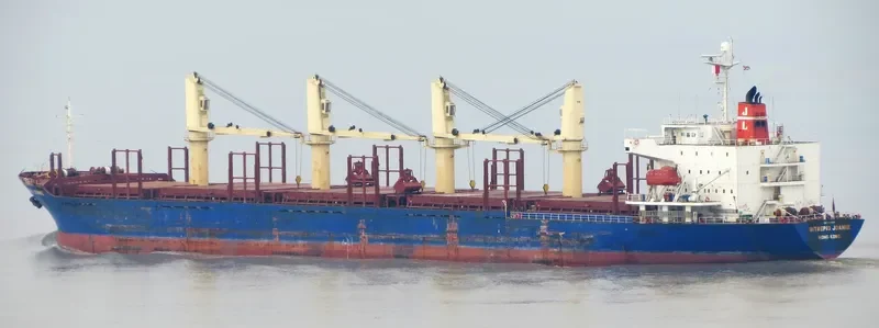 BLUE ALEXANDRA Bulk Carrier IMO 9300219 photo 6