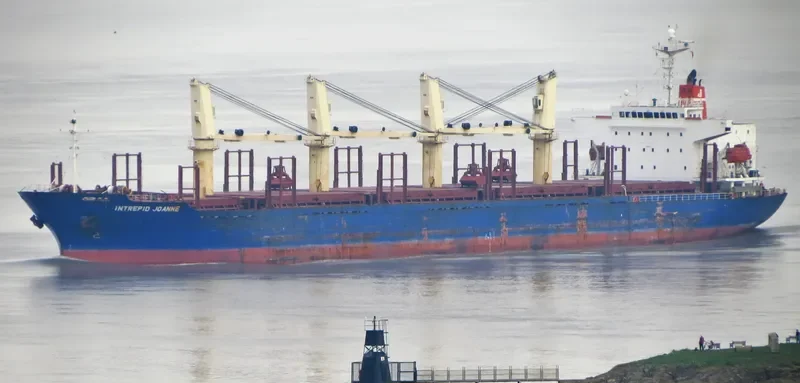 BLUE ALEXANDRA Bulk Carrier IMO 9300219 photo 7