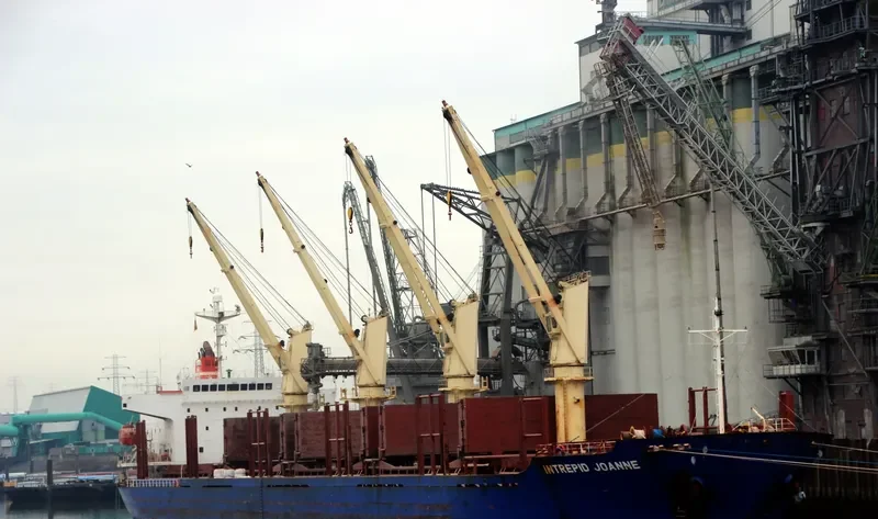 BLUE ALEXANDRA Bulk Carrier IMO 9300219 photo 9