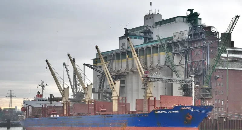 BLUE ALEXANDRA Bulk Carrier IMO 9300219 photo 10