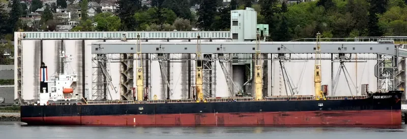 THOR MERCURY Bulk Carrier IMO 9300221