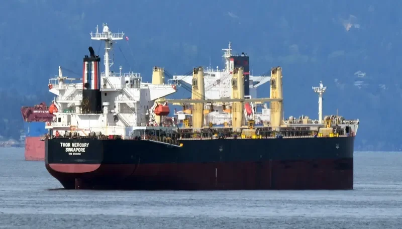 THOR MERCURY Bulk Carrier IMO 9300221 photo 2