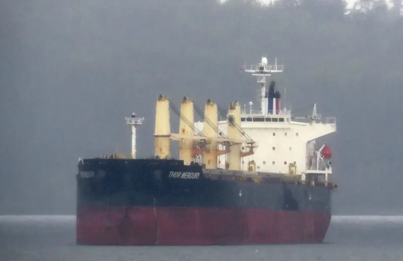 THOR MERCURY Bulk Carrier IMO 9300221 photo 3