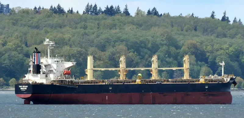 THOR MERCURY Bulk Carrier IMO 9300221 photo 5