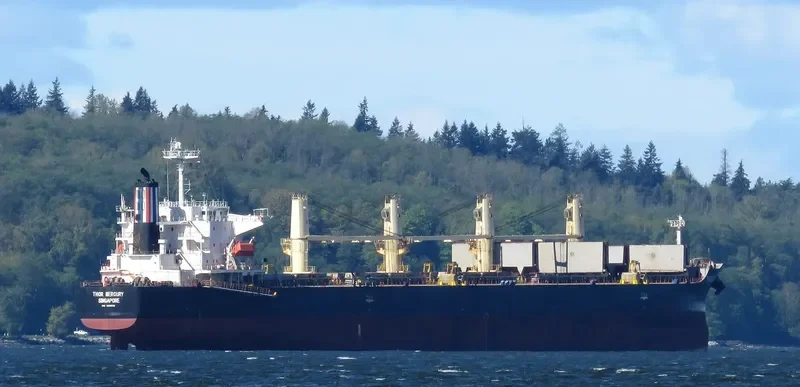 THOR MERCURY Bulk Carrier IMO 9300221 photo 7
