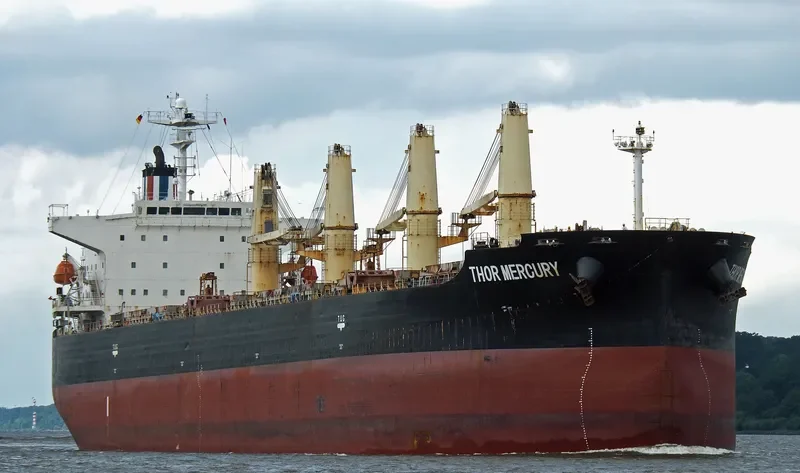 THOR MERCURY Bulk Carrier IMO 9300221 photo 8